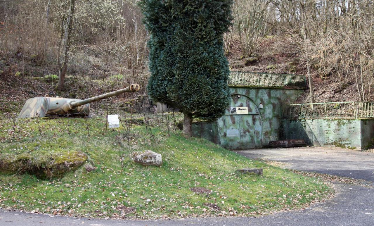Fewo Pfaelzer Felsenlandschaft Pirmasens Εξωτερικό φωτογραφία