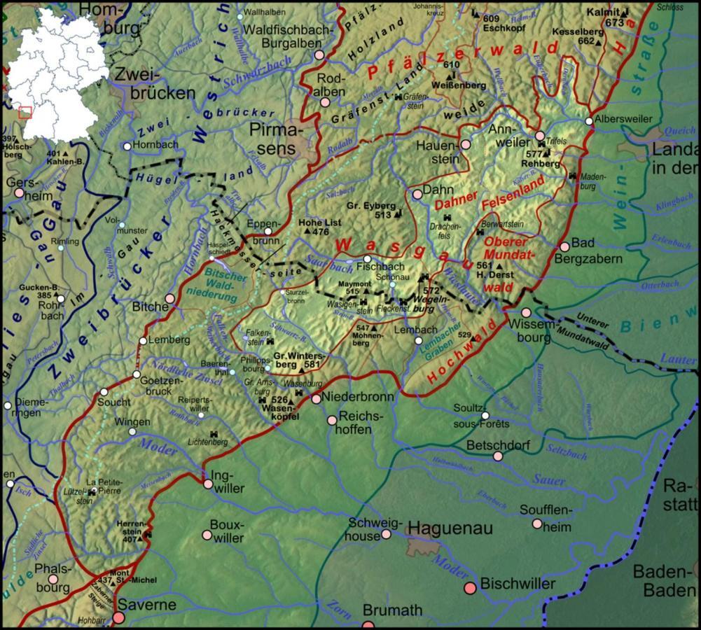 Fewo Pfaelzer Felsenlandschaft Pirmasens Εξωτερικό φωτογραφία